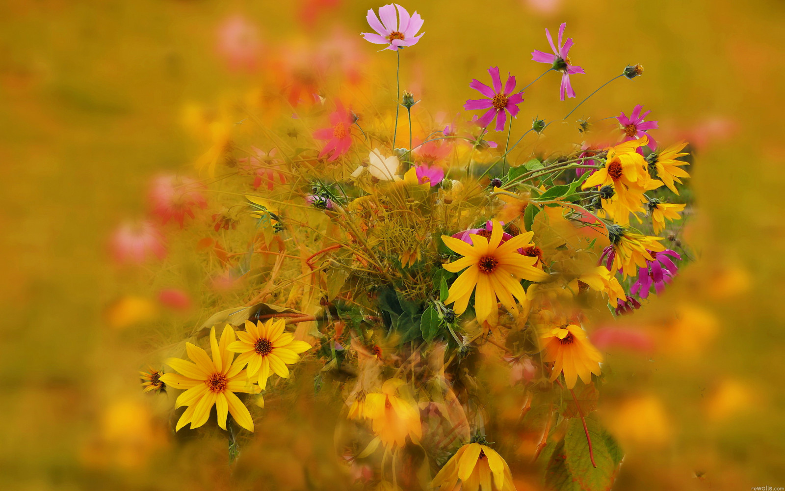 l'automne, bouquet, pétales, tige