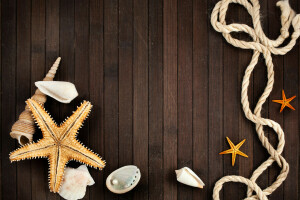 pearl, rope, shell, starfish