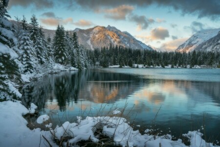 comeu, nuvens, floresta, lago, montanhas, lagoa, neve, a neve