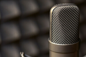 macro, metal, microphone