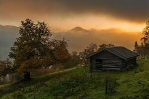 alpine, hus, landskab, Solopgang, træer