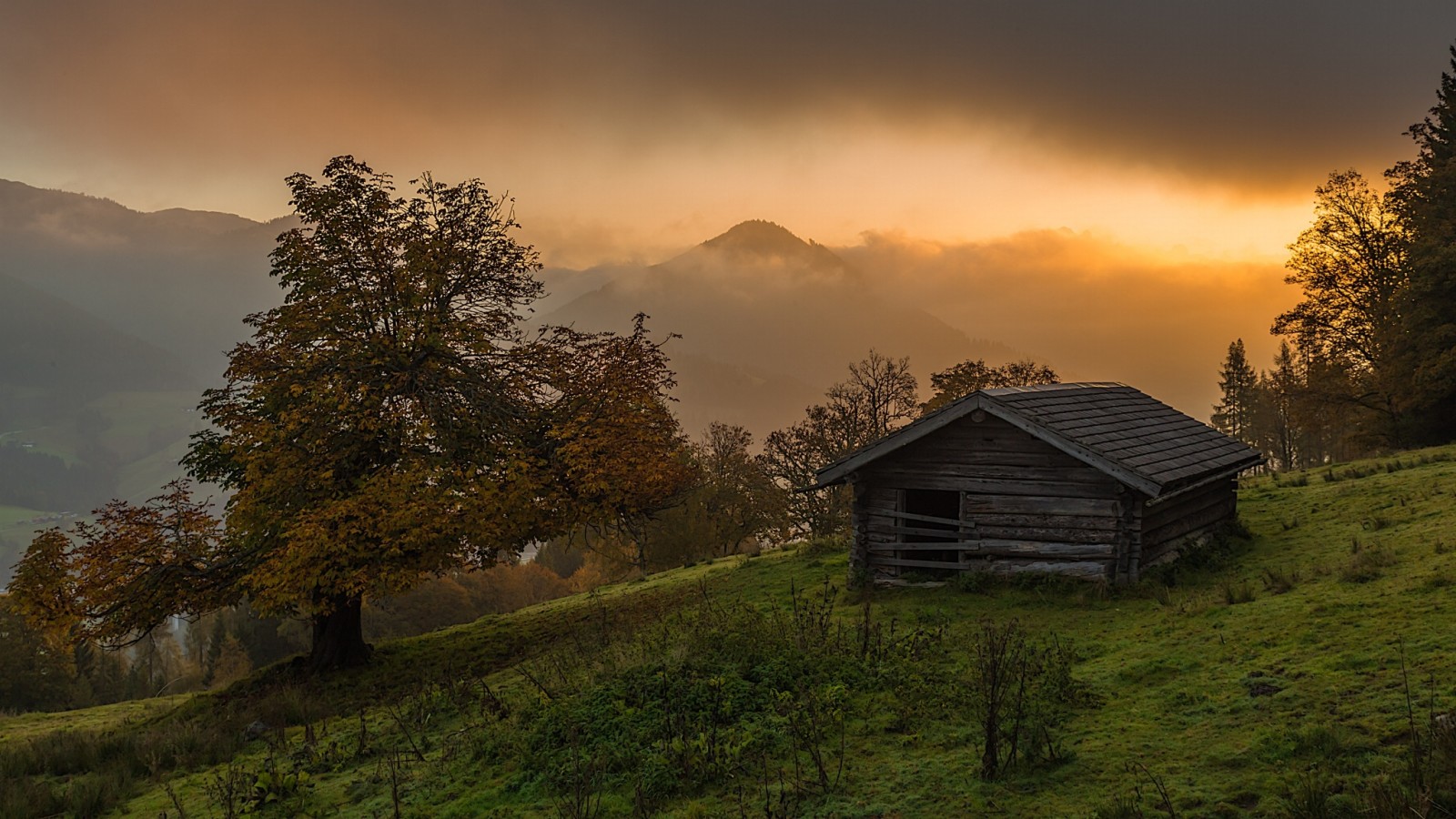 huis, landschap, bomen, zonsopkomst, alpine