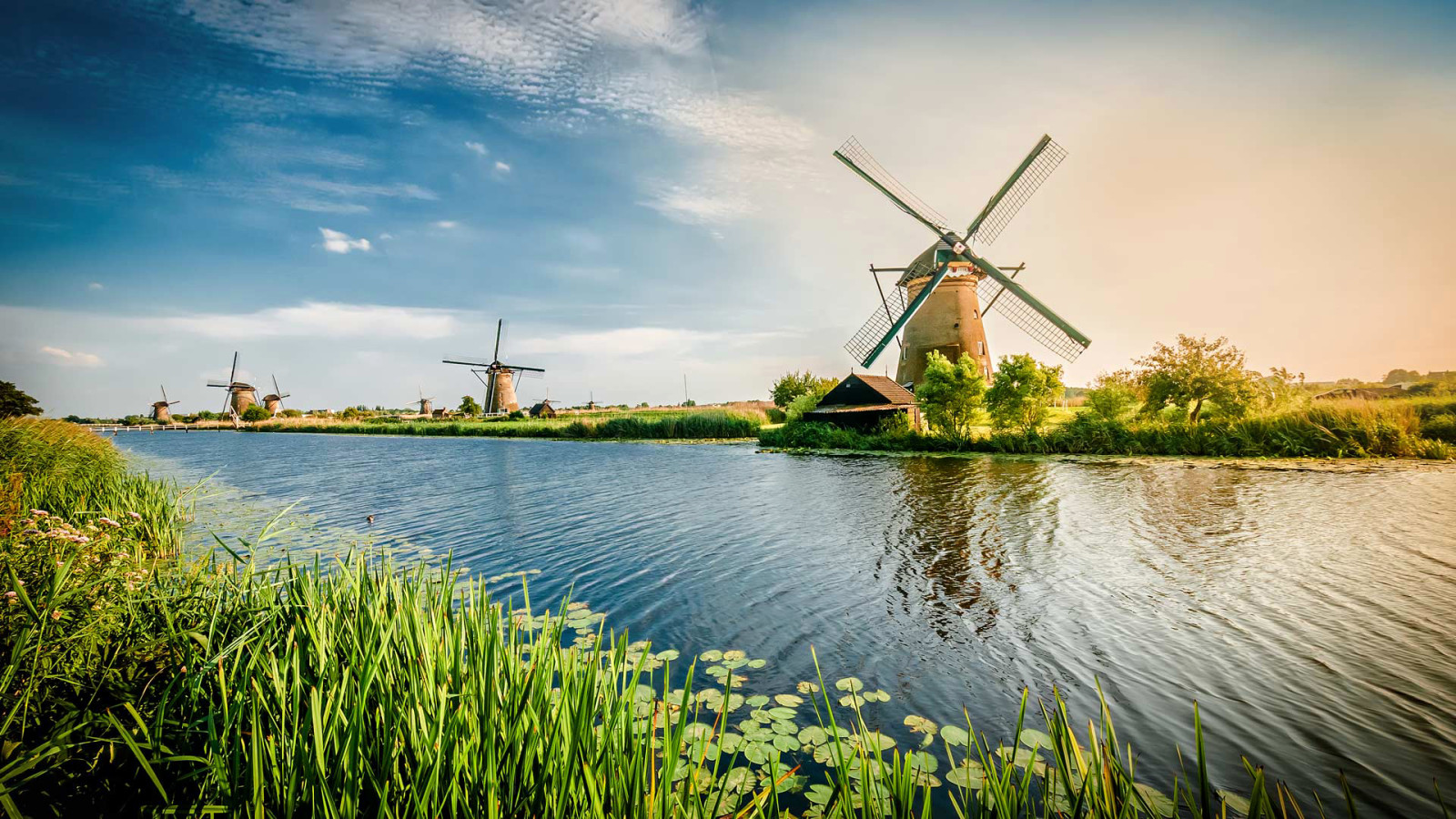 canal, MOARA DE VANT, Olanda, Rotterdam