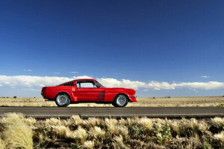 1965, wolken, veld-, doorwaadbare plaats, gras, heuvels, horizon, Mustang