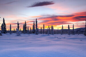 panorama, pôr do sol, inverno