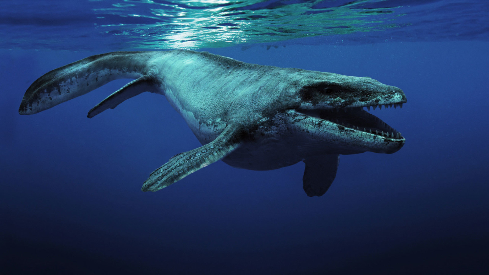 oceano, creatura, Kronosaurus