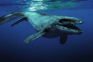 πλάσμα, Kronosaurus, ωκεανός