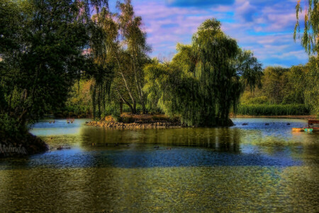 barcos, Gyongyos, Hungría, isla, lago, Parque, arboles