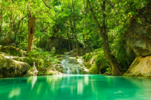 bosque, verduras, selva, lago, piedras, corriente, verano, arboles