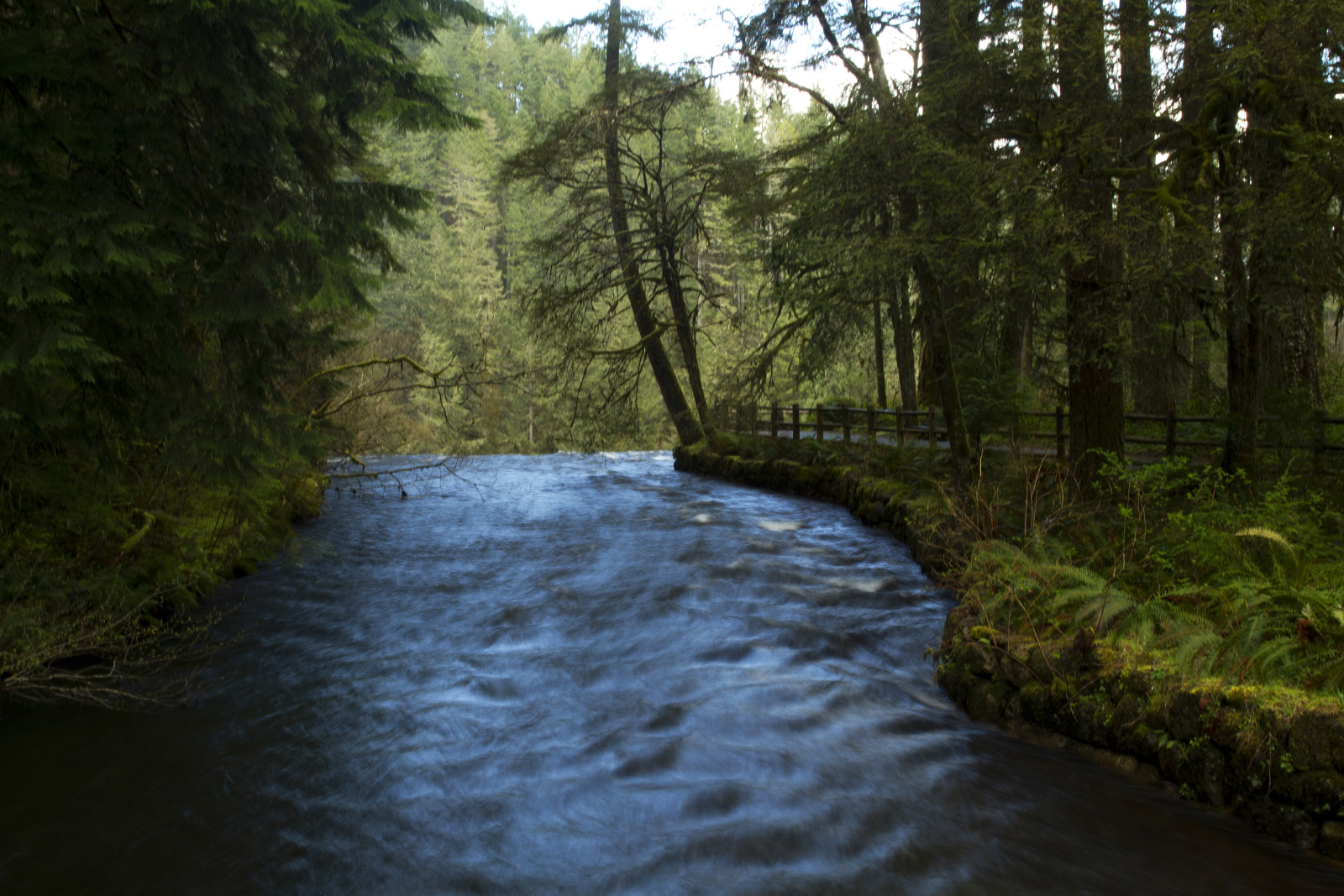 forest, river, trees, waterfall, USA, path, Oregon, fence