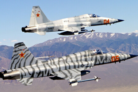 "Combattant de la liberté", Combattant, Polyvalent, Northrop F-5, Tiger II