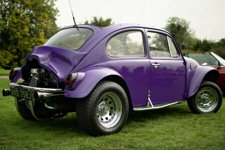 1971, beetle, Volkswagen, VW Beetle