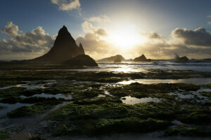 California, martin's breach