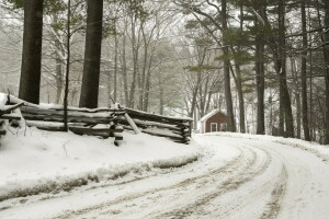 floresta, casa, estrada, inverno