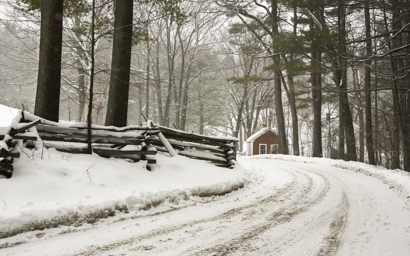 Woud, huis, winter, weg