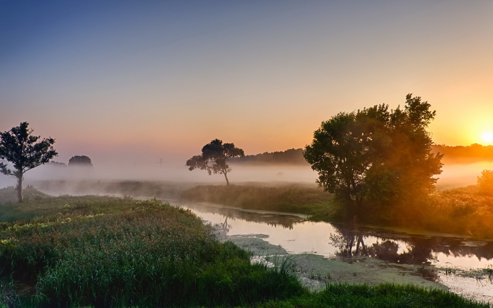 Fluss, Landschaft, Morgen, Nebel