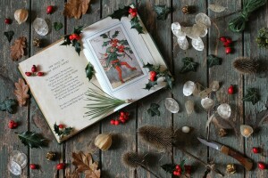 barb, book, Elf, Holly, Needles, physalis, Verse