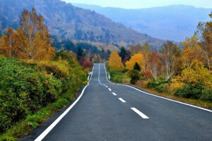 sonbahar, orman, karayolu, dağlar, yol, ağaçlar