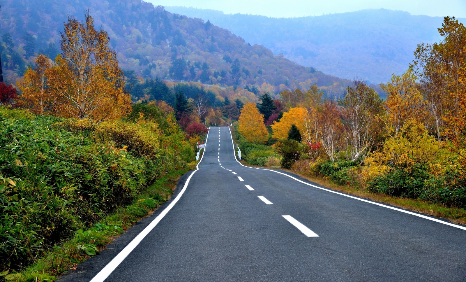 l'automne, forêt, route, des arbres, montagnes, Autoroute