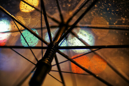 macro, pluie, transparent, parapluie