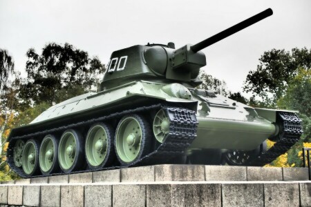 Promedio, Doméstico, Excelente, Monumento, período, T-34, tanque, Guerra