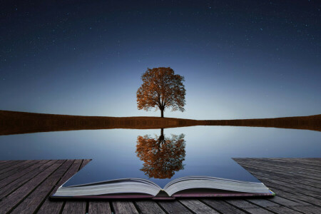 book, reflection, tree, water