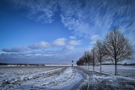 field, nature, road, winter