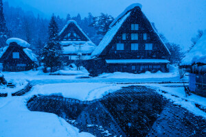 Gokayama, hus, Japan, Shirakawa-go, snö, vinter-