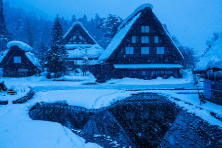 Gokayama, huis, Japan, Shirakawa-go, sneeuw, winter