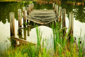 lago, pianta, stagno, fiume, il ponte, acqua