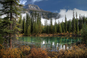 Banff, Kanada, See, Berge, Natur, Park, Foto, Fichte