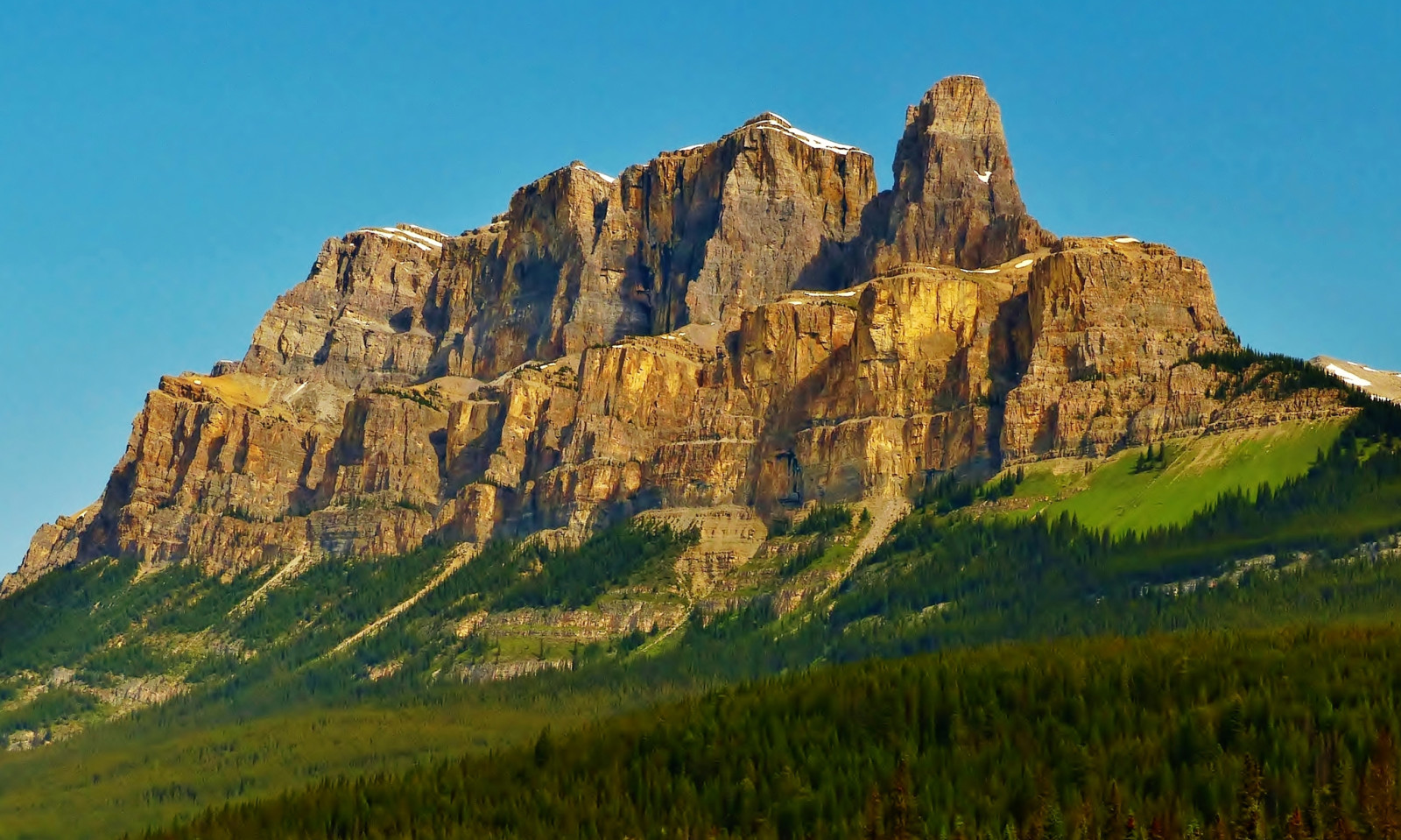 nebe, stromy, Kanada, Albert, Castle Mountain