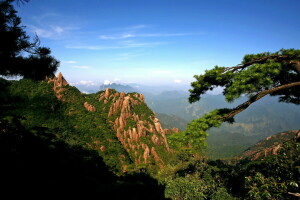 branches, gorge, montagnes, panorama, rochers, le soleil