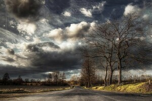 outono, panorama, natureza, foto, estrada, árvores