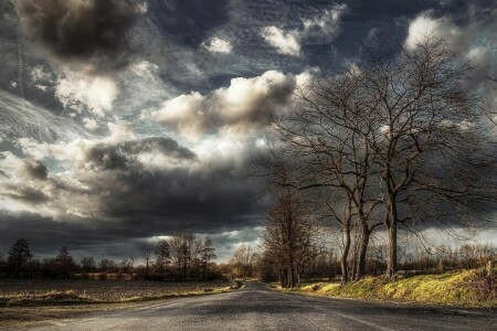 l'automne, paysage, la nature, photo, route, des arbres