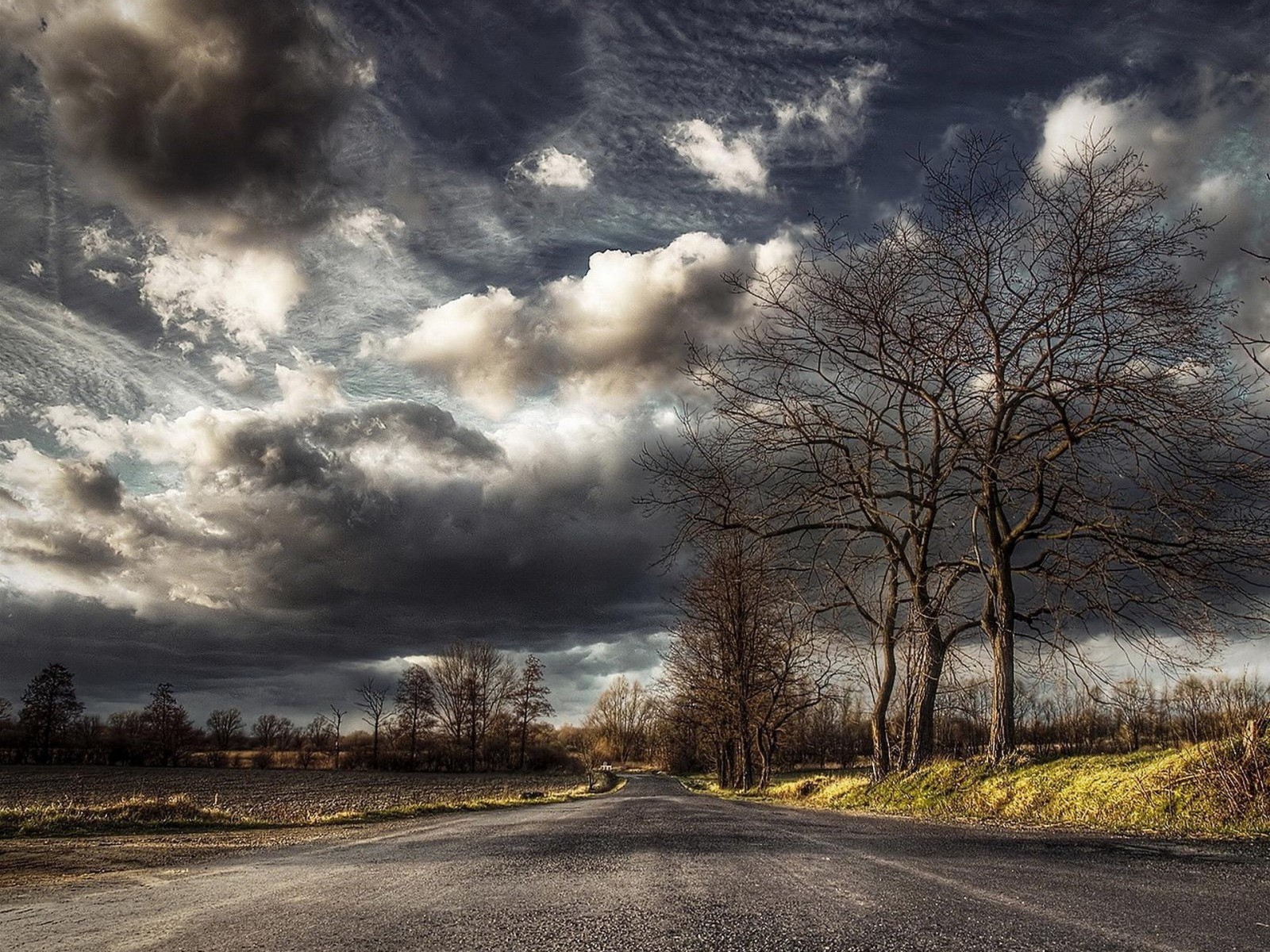 outono, natureza, panorama, estrada, árvores, foto