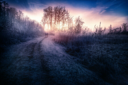 Bij zonsopgang, gras, weg, de lucht, behandeling