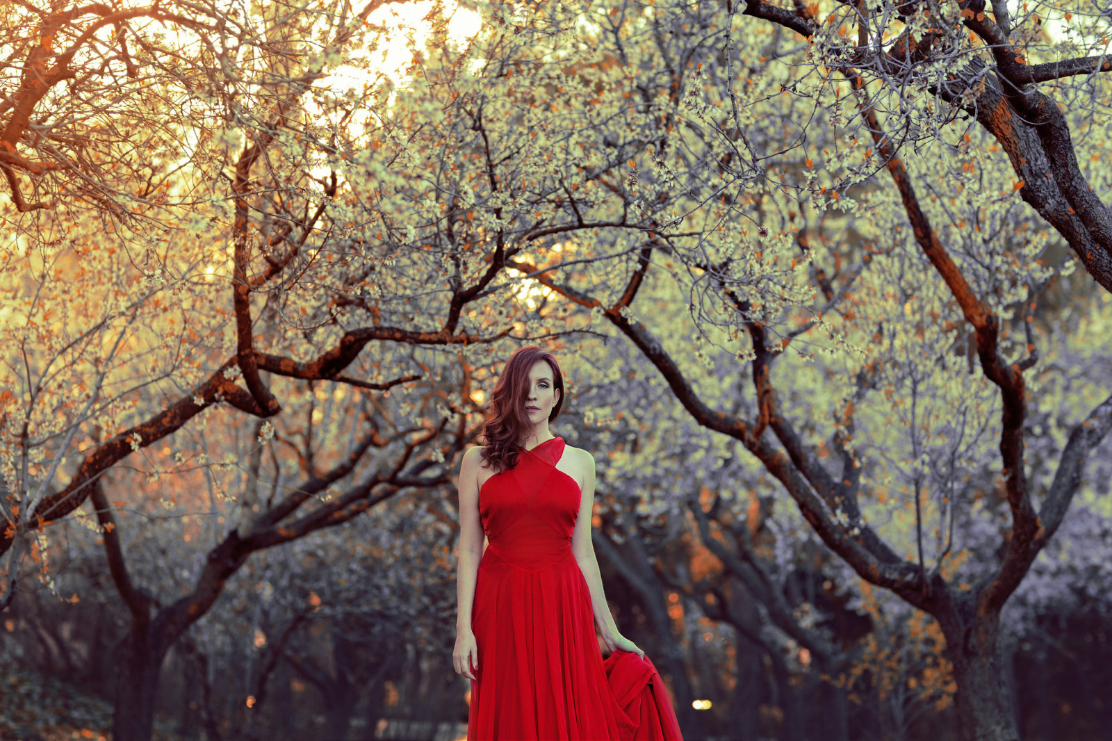 Hintergrund, Mädchen, Stil, Kleid, in rot