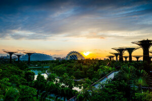 Pont, Aube, conception, Jardin, Des jardins sur la baie, parc, rivière, Singapour