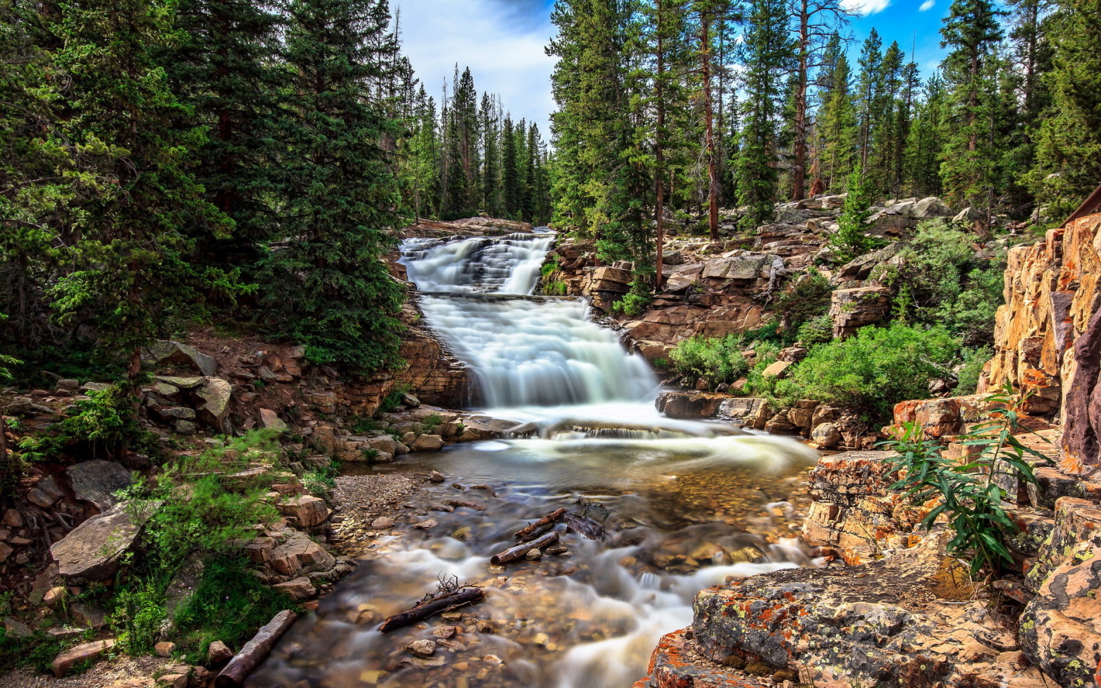 foresta, natura, fiume