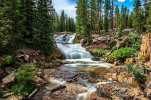 bosque, naturaleza, río