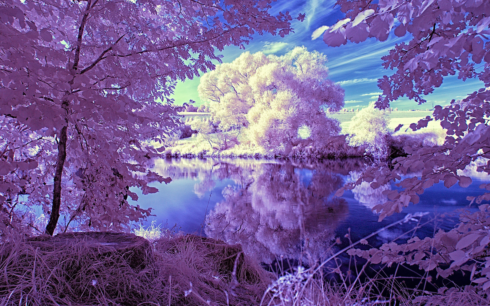 de lucht, meer, landschap, bomen, wolken