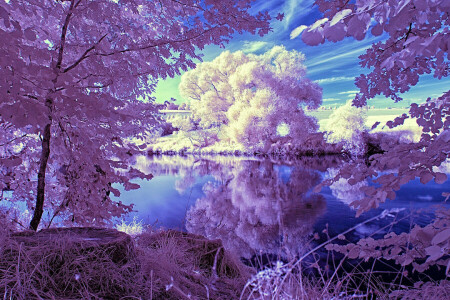 nubes, lago, paisaje, el cielo, arboles