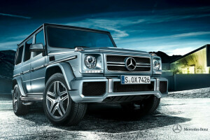 2012, G-Class, Geländewagen, Mercedes, Mercedes-Benz, Statii de tren, W463