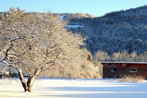 alma, hegyek, hó, a pajta, fa, téli