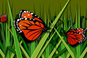 BUTTERFLY, figure, grass, Vector