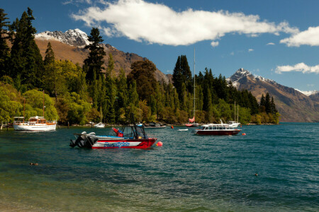 lode, les, jazero, Jazero Wakatipu, hory, Nový Zéland, Queenstown, breh