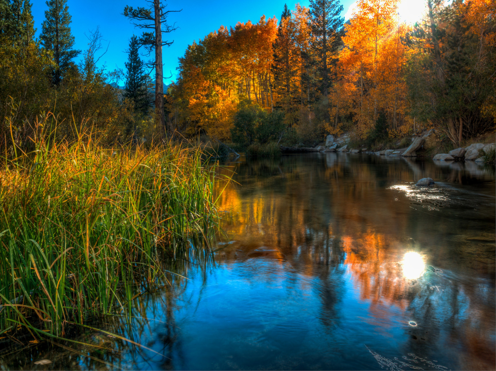 otoño, césped, el cielo, lago, piedras, arboles