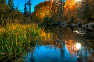 l'automne, herbe, Lac, des pierres, Le ciel, des arbres