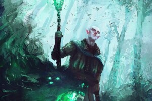 era dragonilor, Elf, MAG, Solas